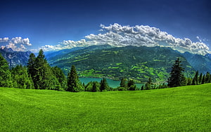 Vibrant Green Pastures and Alpine Lake Under a Dramatic Summer Sky HD wallpaper