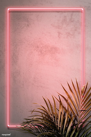Pink Neon Light Frame on Textured Wall with Tropical Palm Leaves HD phone wallpaper