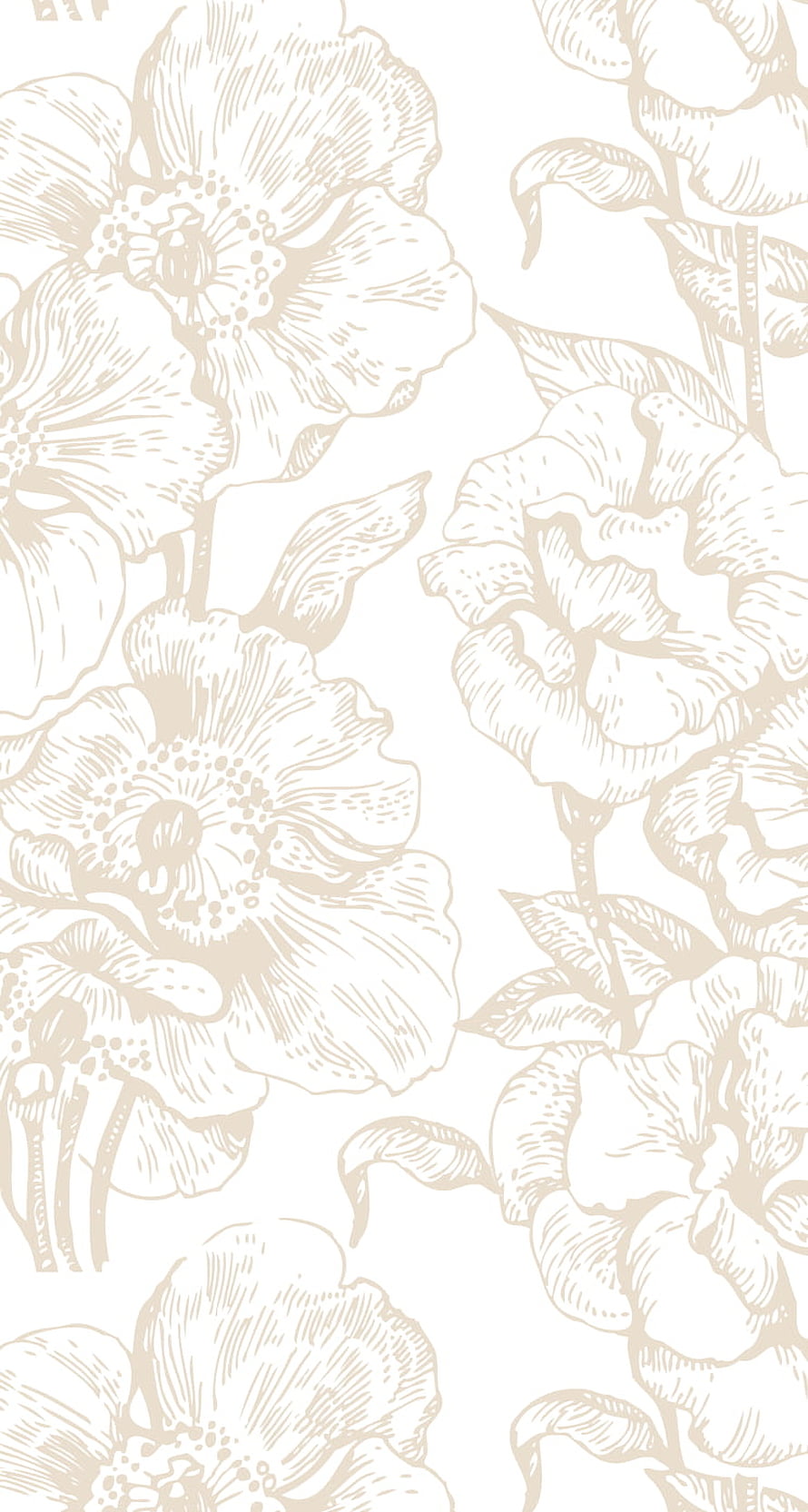 Delicate beige floral line art pattern on a soft cream background HD phone wallpaper