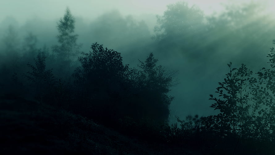 Misty Forest Silhouettes in Dark Green Tones HD wallpaper