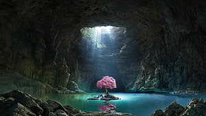 Magical Pink Cherry Blossom Tree in a Dark Cave with Sunbeams and Turquoise Water HD wallpaper