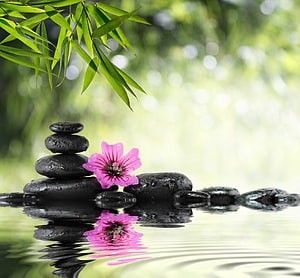 Zen Garden Serenity with Stacked Stones, Pink Flower, and Bamboo Leaves HD wallpaper