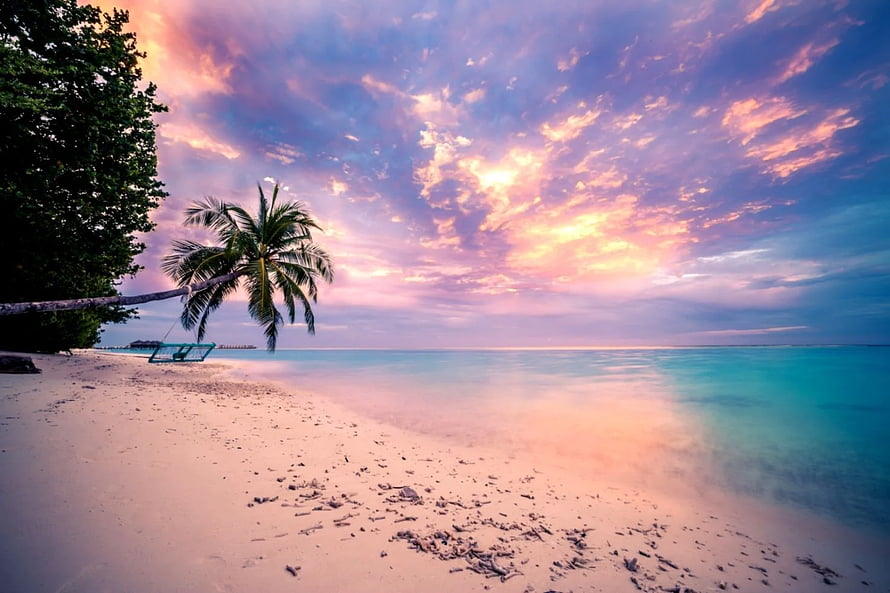 Serene Tropical Beach at Sunset with Palm Tree and Turquoise Ocean HD wallpaper