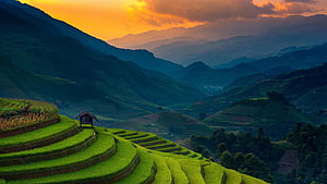 Terraced Rice Fields at Golden Sunset with Distant Mountain Ranges HD wallpaper