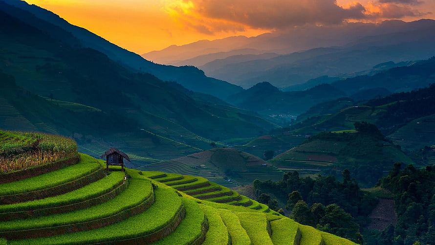 Terraced Rice Fields at Golden Sunset with Distant Mountain Ranges HD wallpaper