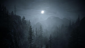 Eerie Moonlit Forest Landscape with Misty Mountains and Tall Pines HD wallpaper