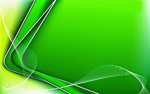 Abstract Green Background With White Flowing Lines And Curves HD wallpaper