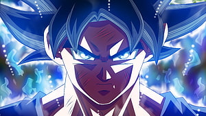 Goku Ultra Instinct Sign Anime Wallpaper HD wallpaper