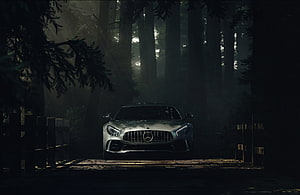 Mercedes-AMG GT parked in a misty forest clearing with dramatic light rays HD wallpaper