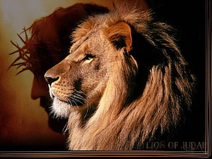 Lion of Judah with Crown of Thorns Silhouette Religious Art HD wallpaper