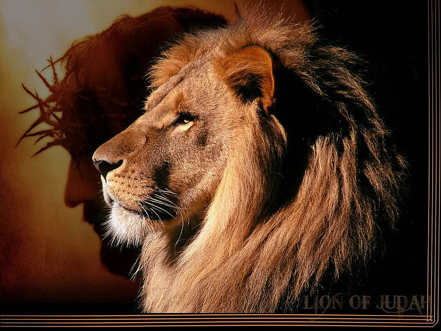 Lion of Judah with Crown of Thorns Silhouette Religious Art HD wallpaper
