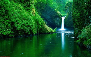 Serene Waterfall Cascading Through Lush Green Canyon Walls HD wallpaper