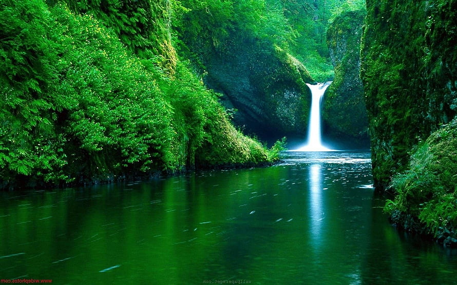 Serene Waterfall Cascading Through Lush Green Canyon Walls HD wallpaper