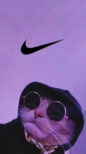 Cool Cat Wearing Sunglasses and Hoodie with Nike Logo on Purple Background HD phone wallpaper