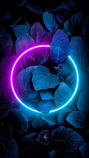 Neon Ring Over Dark Blue Leaves with Purple and Cyan Glow HD phone wallpaper
