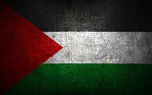 Grunge Textured Palestinian Flag on Weathered Metal Surface HD wallpaper
