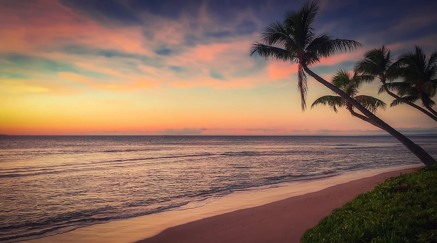 Tropical Beach Sunset with Leaning Palm Trees and Calm Ocean Horizon HD wallpaper
