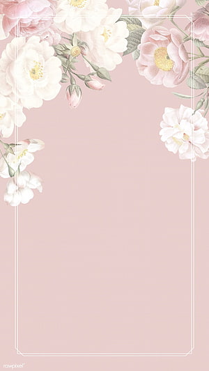 Vintage Pink Rose Floral Wallpaper With Elegant White Border HD phone wallpaper