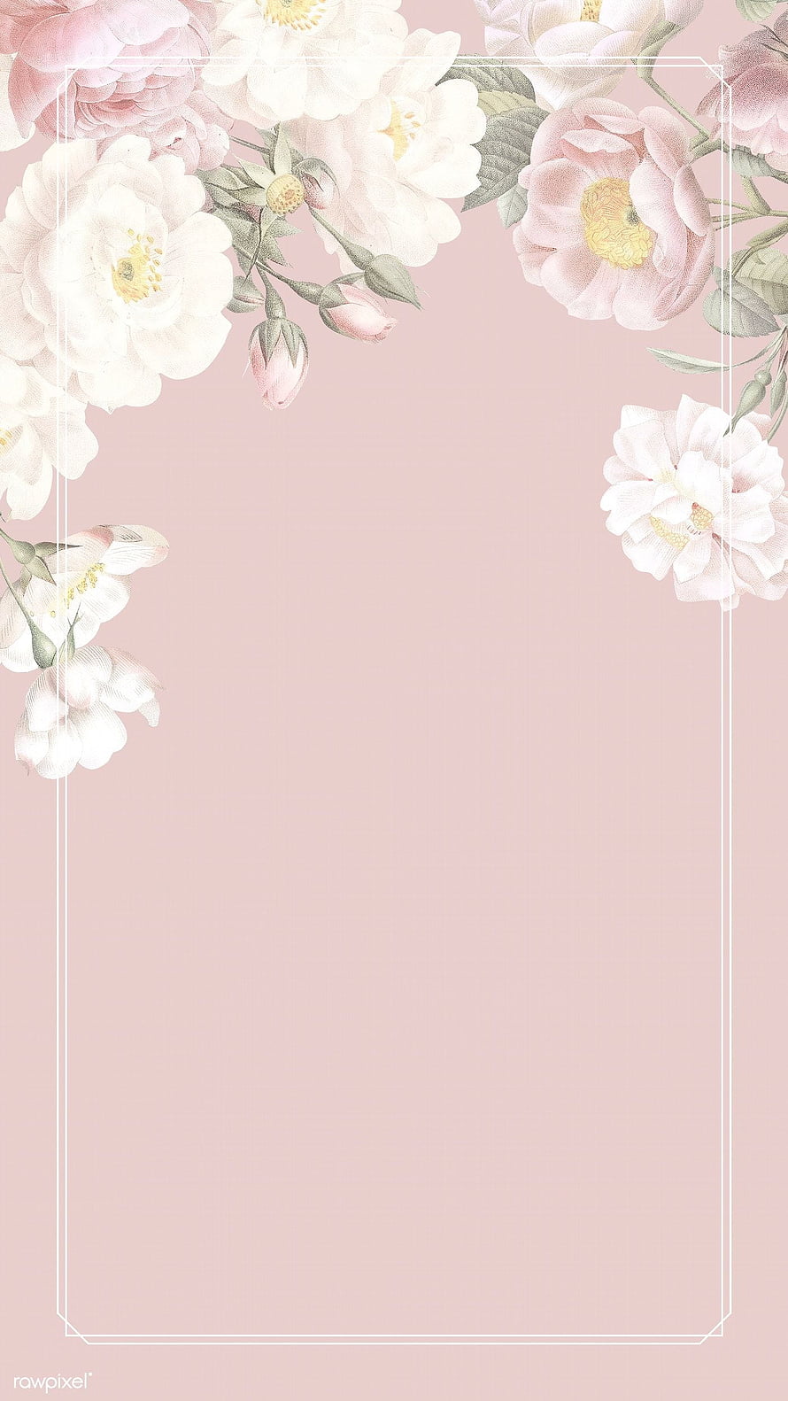 Vintage Pink Rose Floral Wallpaper With Elegant White Border HD phone wallpaper