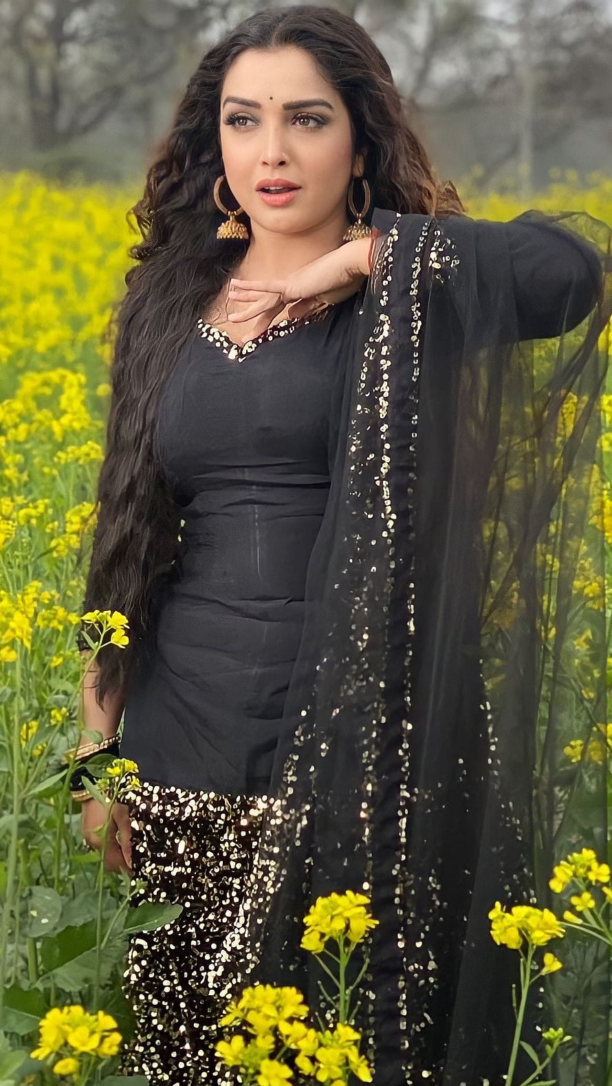 Amrapali Dubey in Black Sequined Outfit Standing in a Vibrant Yellow Flower Field HD phone wallpaper