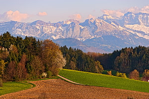 Scenic View of Snow-Capped Mountains Rising Above Rolling Green Hills and Forests HD wallpaper