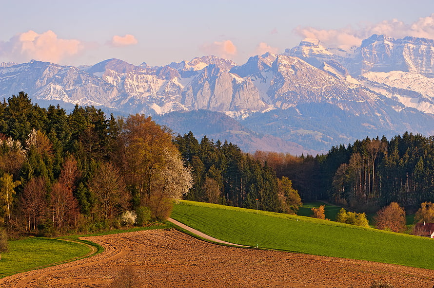 Scenic View of Snow-Capped Mountains Rising Above Rolling Green Hills and Forests HD wallpaper