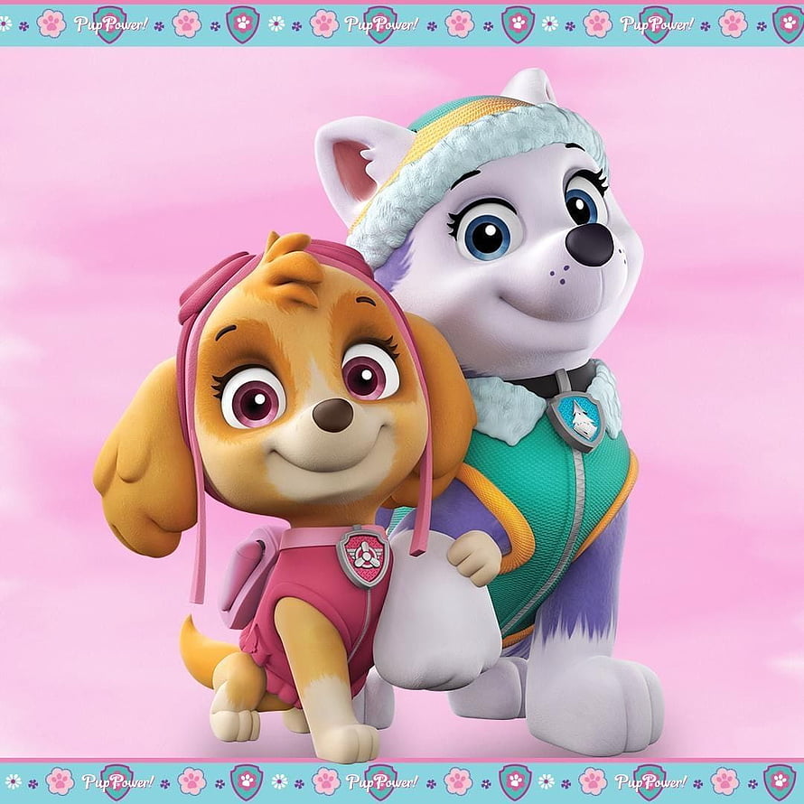 Paw Patrol Skye and Everest Pup Power Adventure Wallpaper HD phone wallpaper