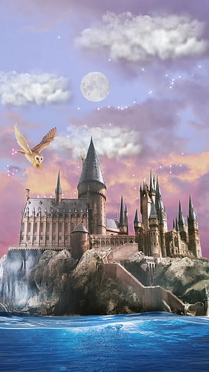 Hogwarts Castle at Dusk with Full Moon and Owl Carrying a Letter Over the Sea HD phone wallpaper