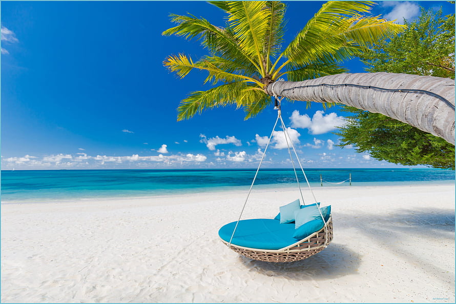 Tropical Paradise: Blue Hanging Chair Under Palm Tree on White Sandy Beach HD wallpaper