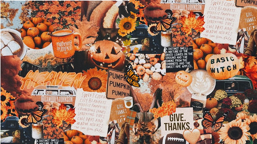 Cozy Autumn Aesthetic Collage Featuring Pumpkins, Sunflowers, and Halloween Elements HD wallpaper