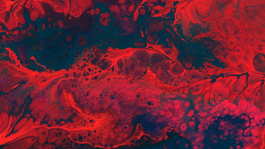 Vibrant Red and Teal Fluid Art Abstract Texture with Organic Cellular Patterns HD wallpaper