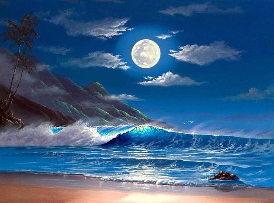 Tropical Moonlit Beach with Rolling Waves and Palm Trees HD wallpaper