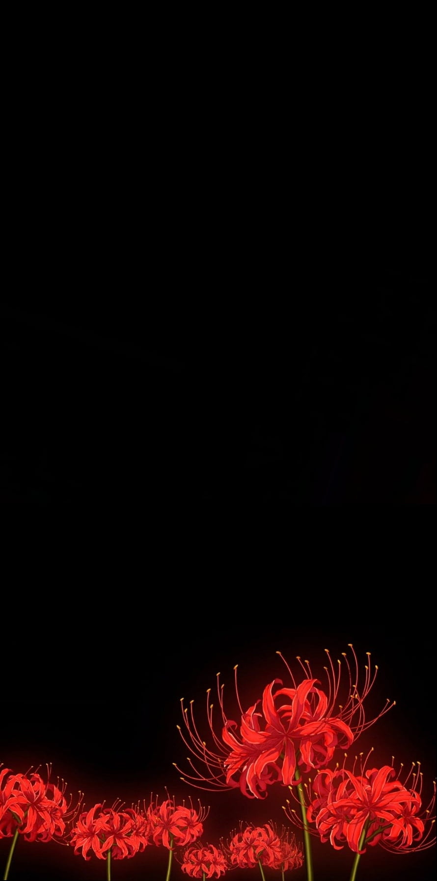 Red Spider Lilies on Black Background HD phone wallpaper