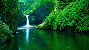 Serene Waterfall Cascading Into A Lush Green River Surrounded By Mossy Forest Cliffs HD wallpaper