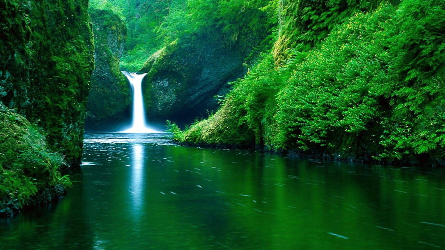 Serene Waterfall Cascading Into A Lush Green River Surrounded By Mossy Forest Cliffs HD wallpaper