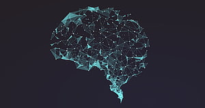 Abstract Digital Human Brain Network with Glowing Cyan Nodes on Dark Background, Brain Computer Interfaces Show That Neural Networks Learn HD wallpaper