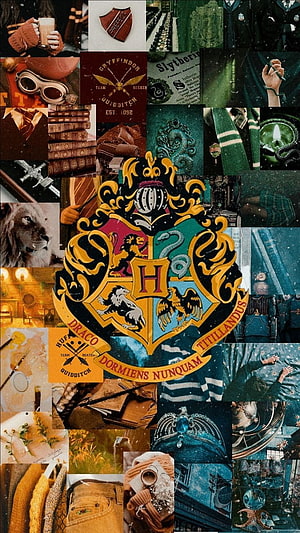 Harry Potter Hogwarts House Crest Collage with Quidditch and Wizarding World Aesthetic HD phone wallpaper