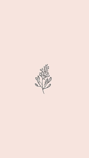 Minimalist Botanical Line Art on Soft Blush Pink Background HD phone wallpaper