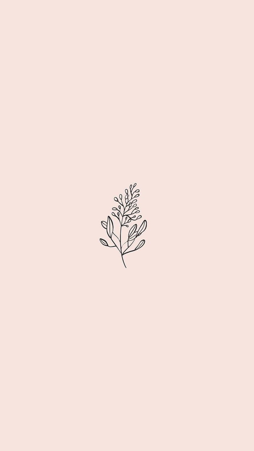 Minimalist Botanical Line Art on Soft Blush Pink Background HD phone wallpaper