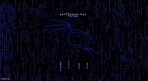 Blue Neon Dragon Silhouette Against Digital Matrix Code Rain Background HD wallpaper