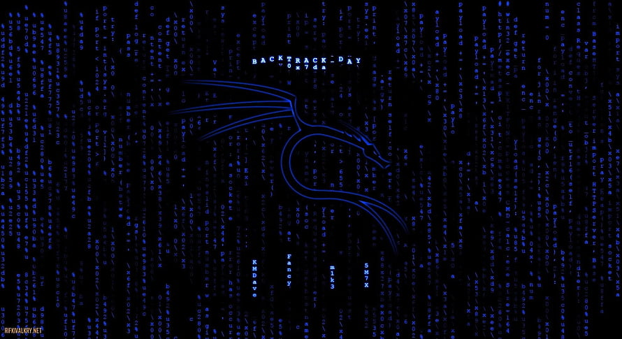 Blue Neon Dragon Silhouette Against Digital Matrix Code Rain Background HD wallpaper