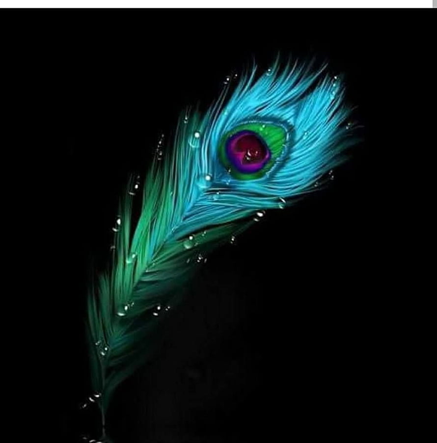 Vibrant Peacock Feather with Water Droplets on Black Background HD phone wallpaper