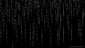 Black Matrix Digital Rain Wallpaper with White Text on Dark Background HD wallpaper