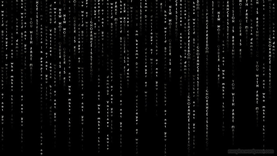 Black Matrix Digital Rain Wallpaper with White Text on Dark Background HD wallpaper