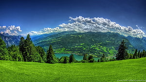 Alpine Meadow Panorama With Turquoise Lake And Forested Mountains Under Blue Sky HD wallpaper