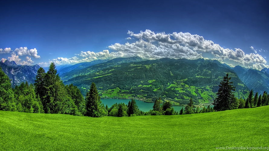 Alpine Meadow Panorama With Turquoise Lake And Forested Mountains Under Blue Sky HD wallpaper