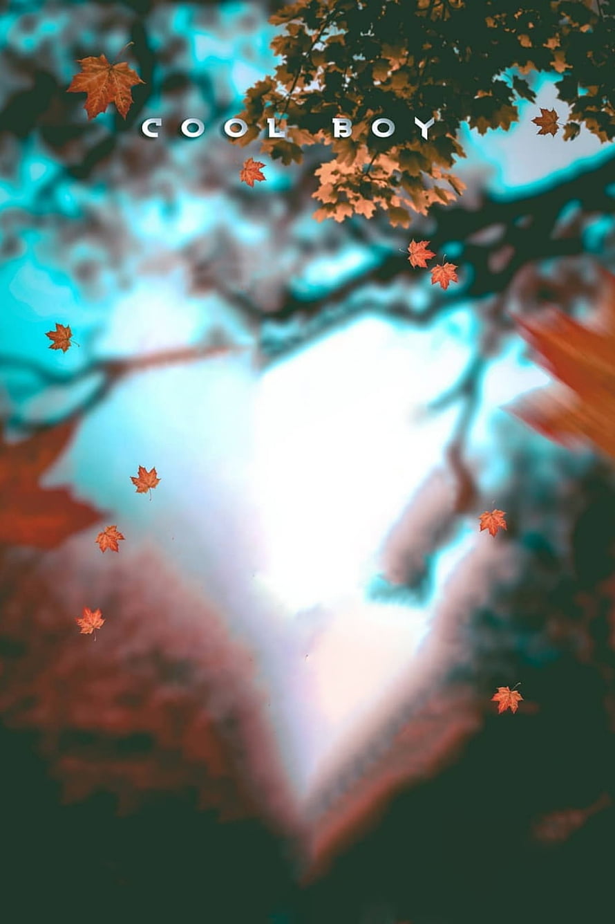 Cool Boy Autumn Maple Leaves Falling Through Branches With Teal and Orange Cinematic Color Grade HD phone wallpaper