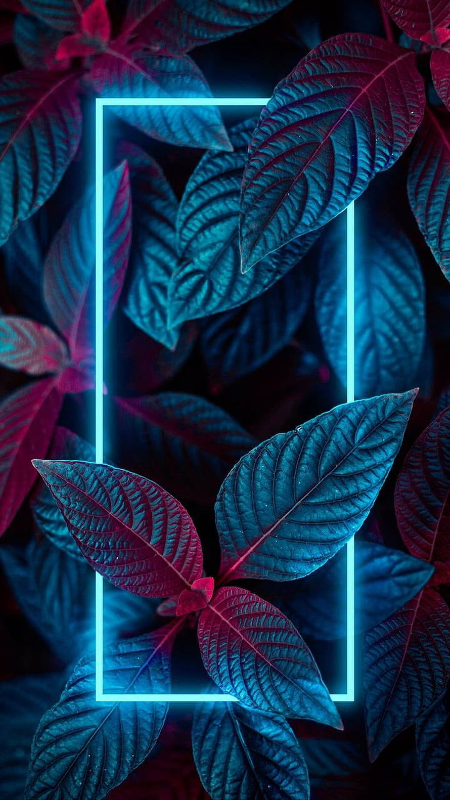 Neon Glowing Leaves with Cyan Light Frame and Magenta Tinted Botanical Texture HD phone wallpaper
