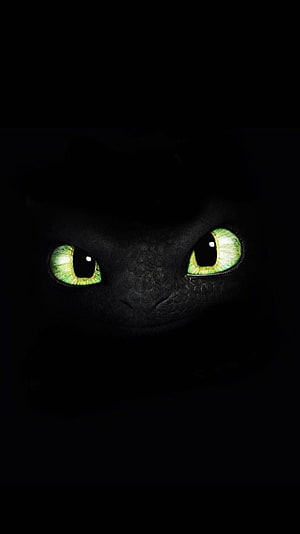 Toothless Night Fury Dragon with Glowing Green Eyes in Darkness HD phone wallpaper