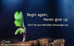 Resilient Green Sprout Emerging from Bark Against Dark Blue Background HD wallpaper